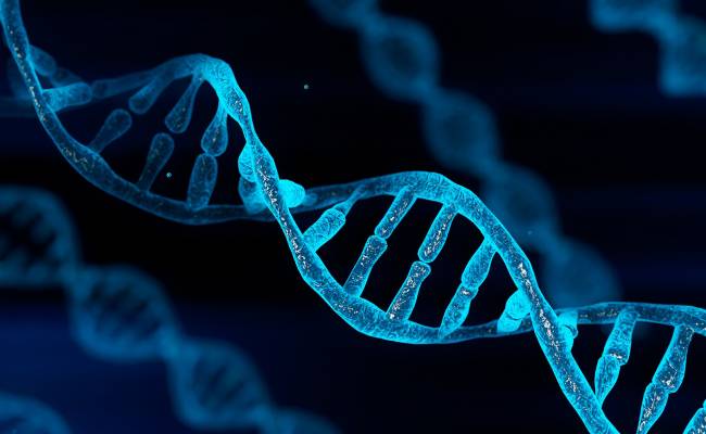 Cardio Genetics Program 1
